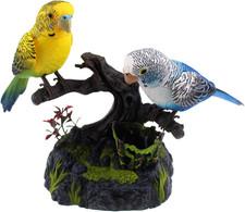 Talking Parrots Birds Electronic Pets Office Home Decoration Recording  Playbac