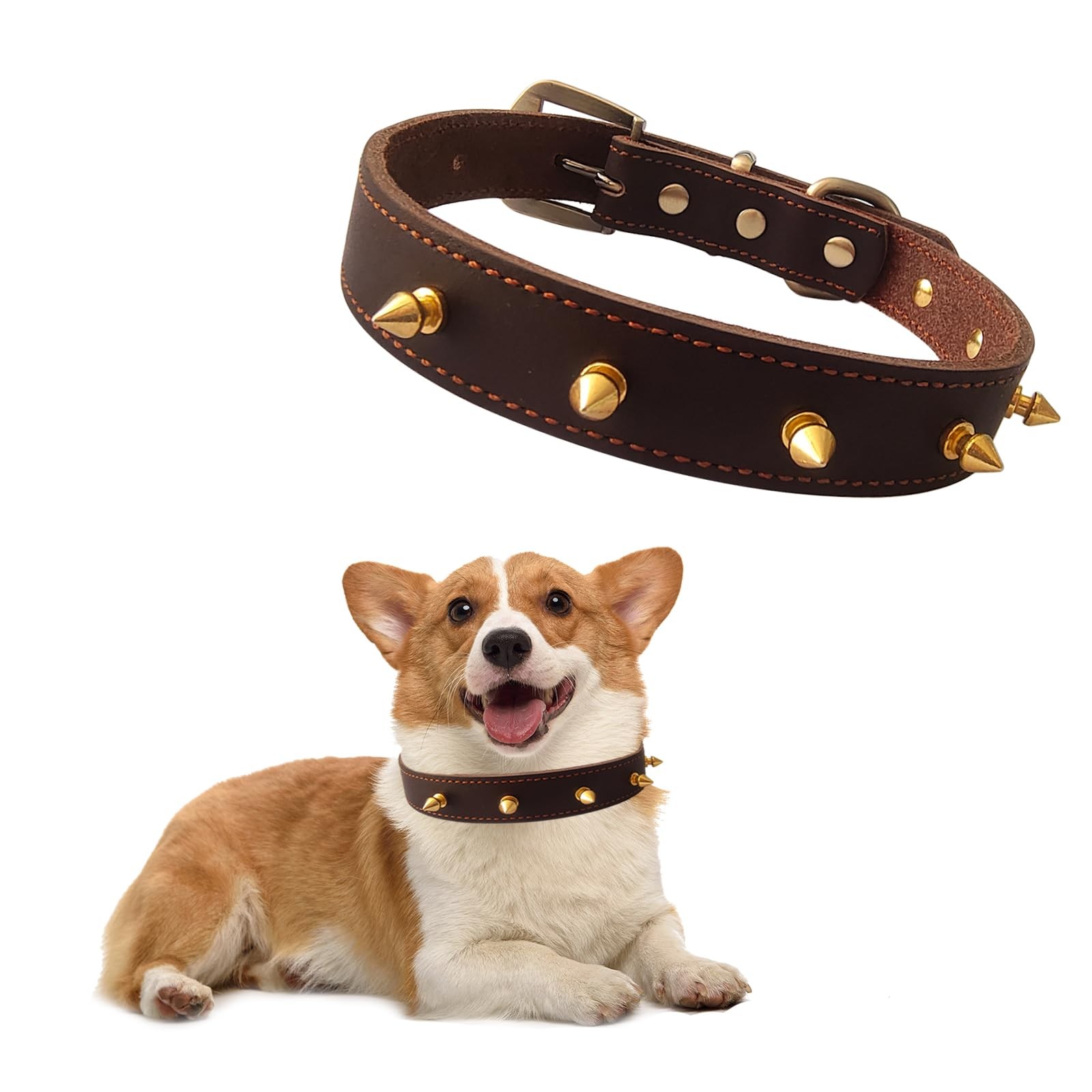 Collier à pointe pour chien et chat en cuir résistant avec rivets de protection