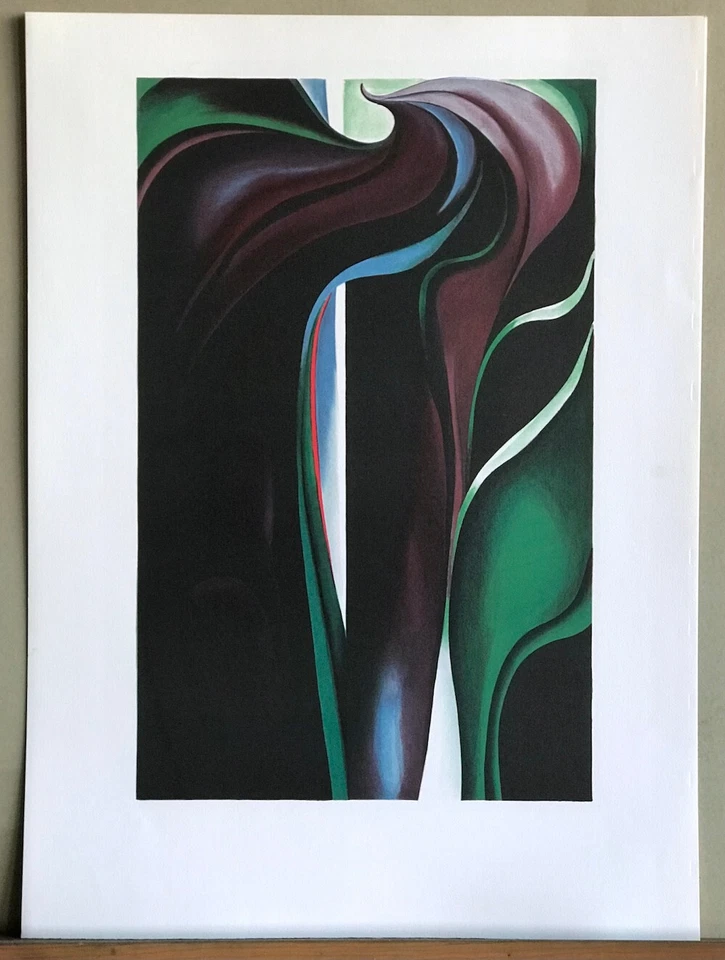 Georgia O'Keeffe JACK IN THE PULPIT V 1930,拱门平版画,摘要 — 第 4/4 张图片