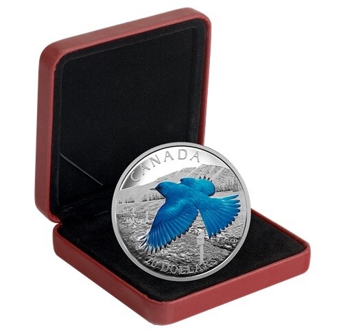 2016 Canada $20 Mountain Bluebird : Migratory Birds Convention Fine Silver Coin - Bild 3 von 4