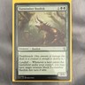Wizards of the Coast Turntimber Basilisk Creature Green Uncommon Zendikar vs.