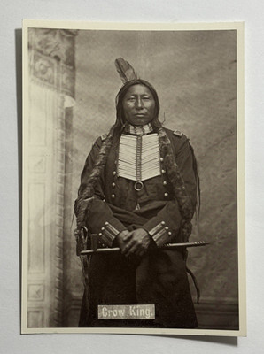 Crow King Kangi Yatapi Hunkpapa Sioux Chief circa 1881 Postcard 1982 Unposted