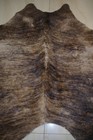 B7 Vintage Real Bear Fur Skin Hearth Rug Shaded Brown Animal — photo 10