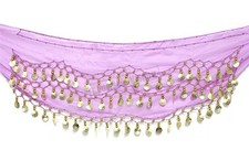 Purple Middle Eastern 3 ROWS ornament Coins BELLY Dance sheer Costume HIP SKIRT