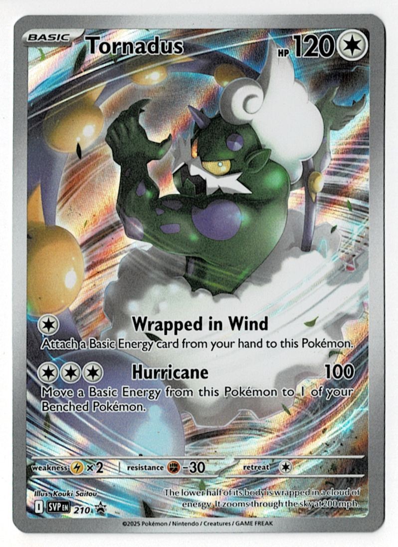 2025 Pokemon Tornadus #210