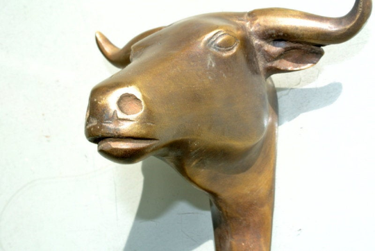 Picture 8 of 8