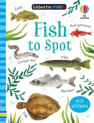 Fish to Spot (Usborne Minis) by Kate Nolan