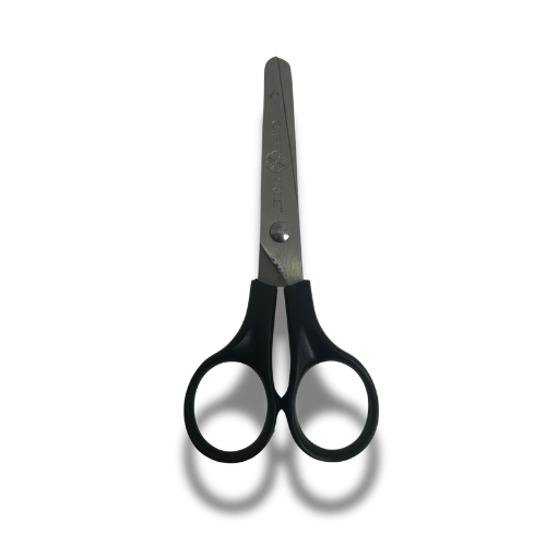 Beautiful view of Best Wing Clipping Scissors For Parakeets