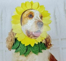 🌻 Hyde And Eek Pet Sunflower Set Headpiece Neckwear XS/Small🆕AS SHOWN