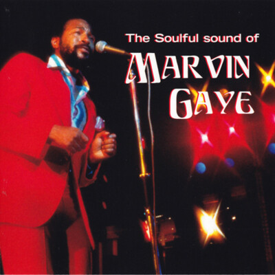 The Soulful Sound of Marvin Gaye Sexual Healing Aint It Funny Walking In Rain