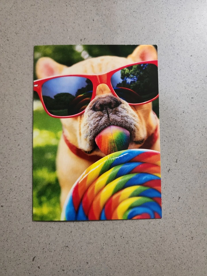 Tarjeta para ocasiones especiales para gatos y perros multiusos/cumpleaños/grado/retiro Avanti Press Foto 4 de 4