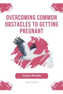 Brooks - Overcoming Common Obstacles to Getting Pregnant - New paperba - X555z