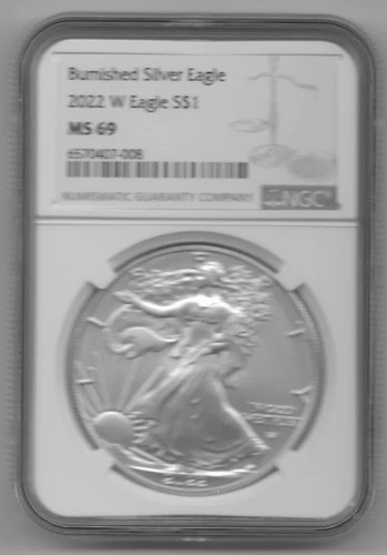 2022 (W) Burnished Silver Eagle NGC 69 Brown Label