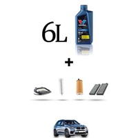Hoffcar Set Service 4 Filter Und 6L ÖL FüR BMW X5 (F15, F85) 25D 160Kw Von 2013