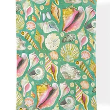 WerkShoppe Shell Collector Beach Multi-Color Seashells 100% Cotton Tea Towel