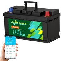 12V 170Ah Lifepo4 Lithium Batterie Akku 150A Bms FüR Wohnmobil Solarbatterie Rv