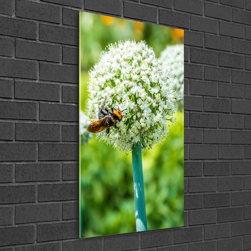 Tulup Tableau Sur Verre Trempé Image 100x50 - Soleil