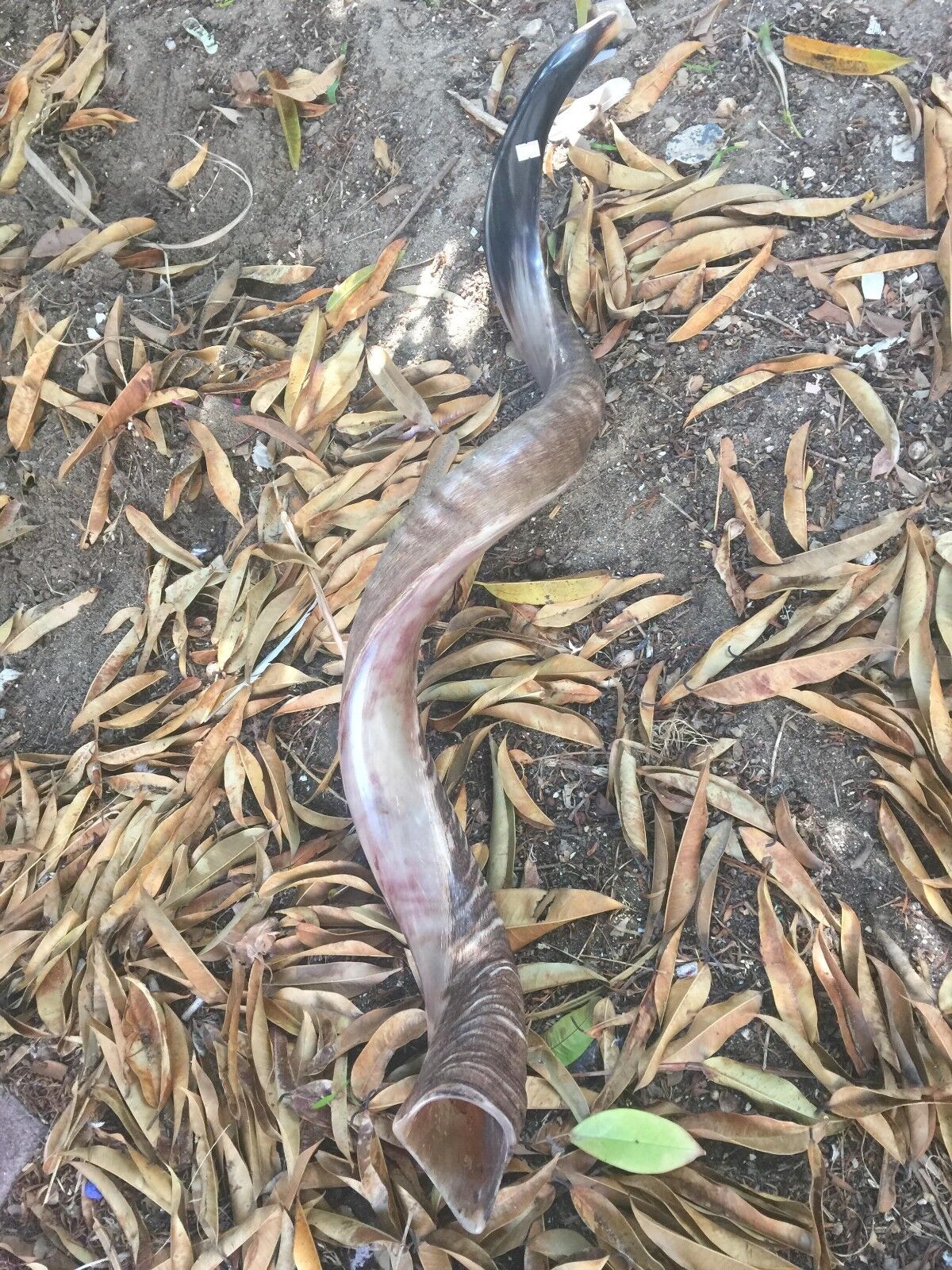 Picture 6 of 13
