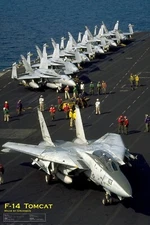 EuroGraphics Grumman F-14 Tomcat Poster