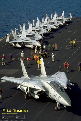EuroGraphics Grumman F-14 Tomcat Poster