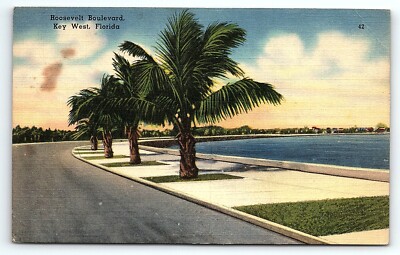 1940s KEY WEST FLORIDA ROOSEVELT BOULEVARD PALMS LINEN POSTCARD P5419