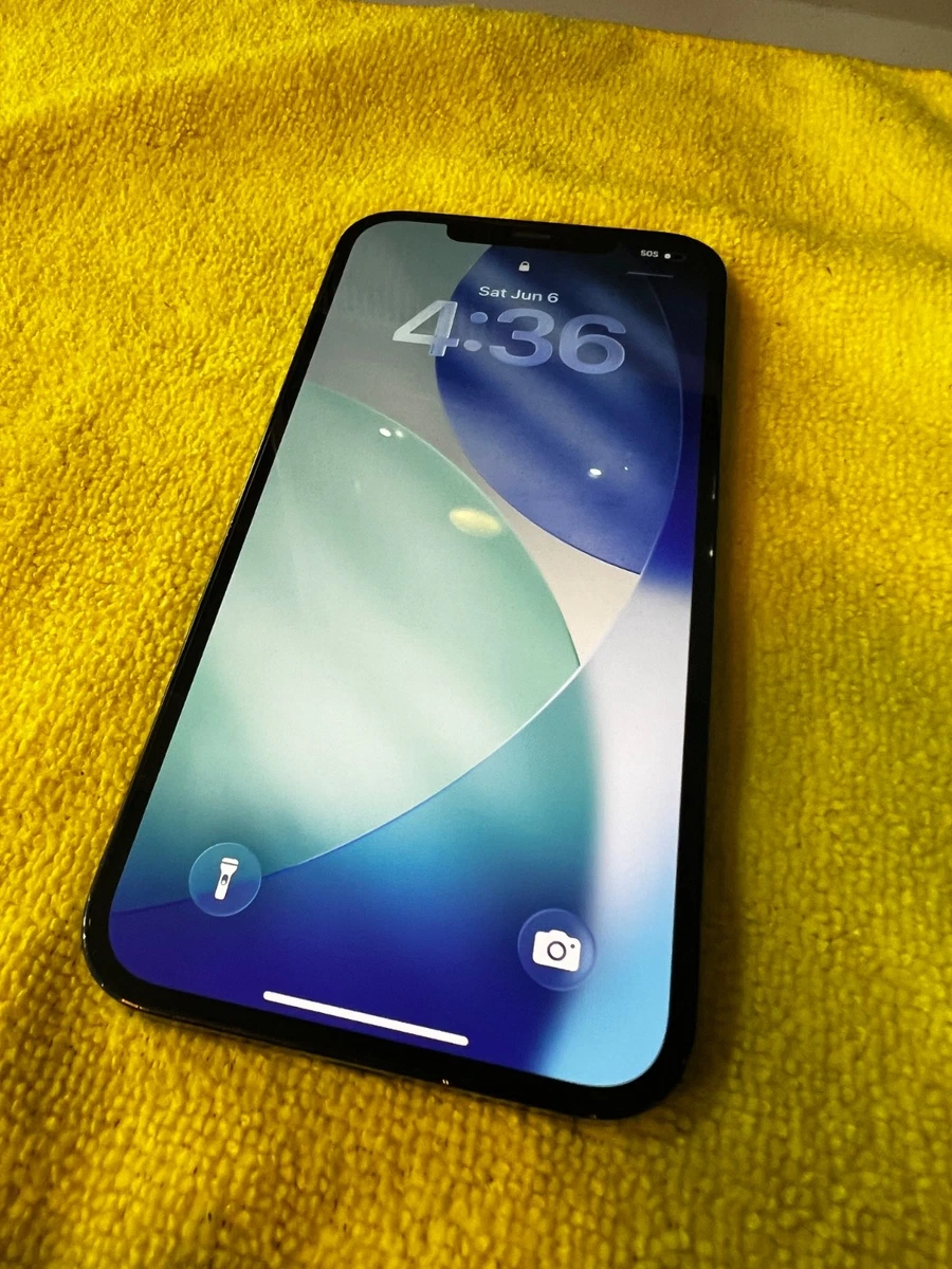 iPhone 11 Pro Max 256GB Verizon for Sale - eBay