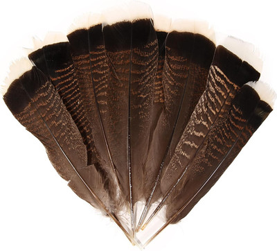 Natural Turkey Tails Feathers 6-8Inch (15-20Cm) for Crafts DIY Home Wedding Part