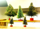 BOTTLE BRUSH CHRISTMAS TREES VINTAGE — photo 4