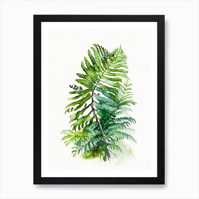 Zwergbaumfarn Aquarell Kunst Pri gerahmt Wandbild Poster Leinwanddruck Bild