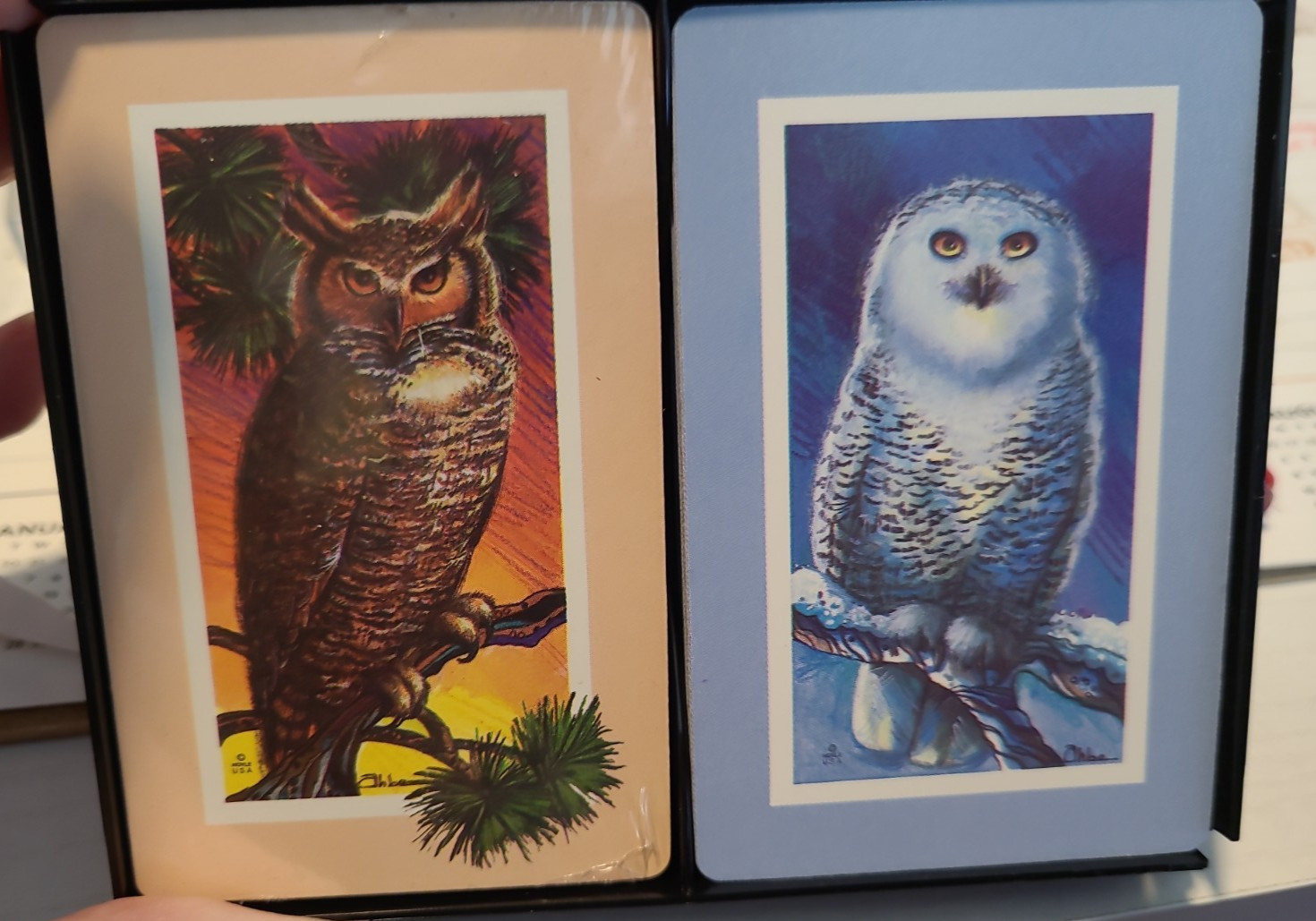 Vtg Hoyle Playing Cards Double Deck Set W/ Case Owl Plastic Coated USA MCM 70s