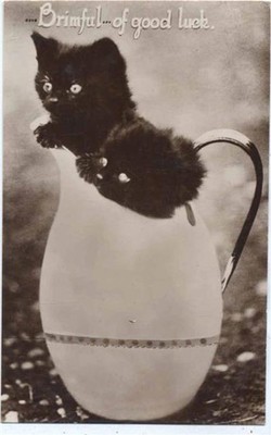 20068474 - Two Cats in a Jug Zoo Circa 1920/30
