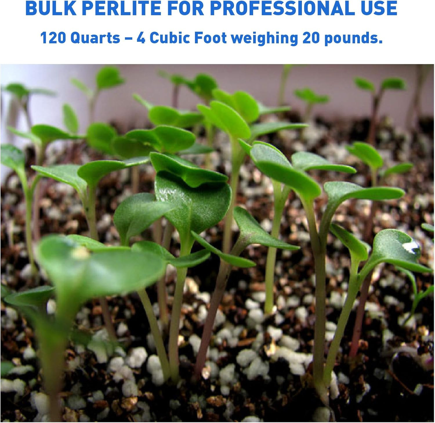 PVP Industries PVP105408 120 Quarts – 4 Cubic Foot of Organic Perlite Planting S