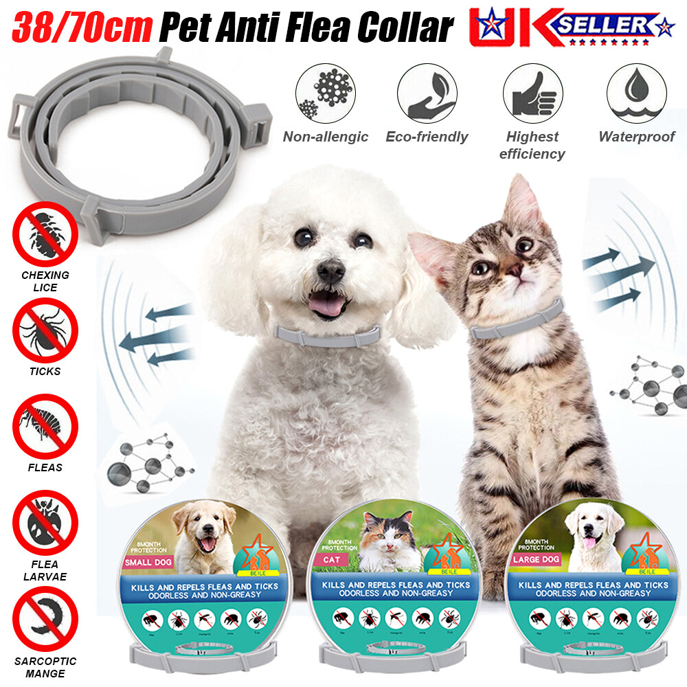 dog flea waggie flea collar