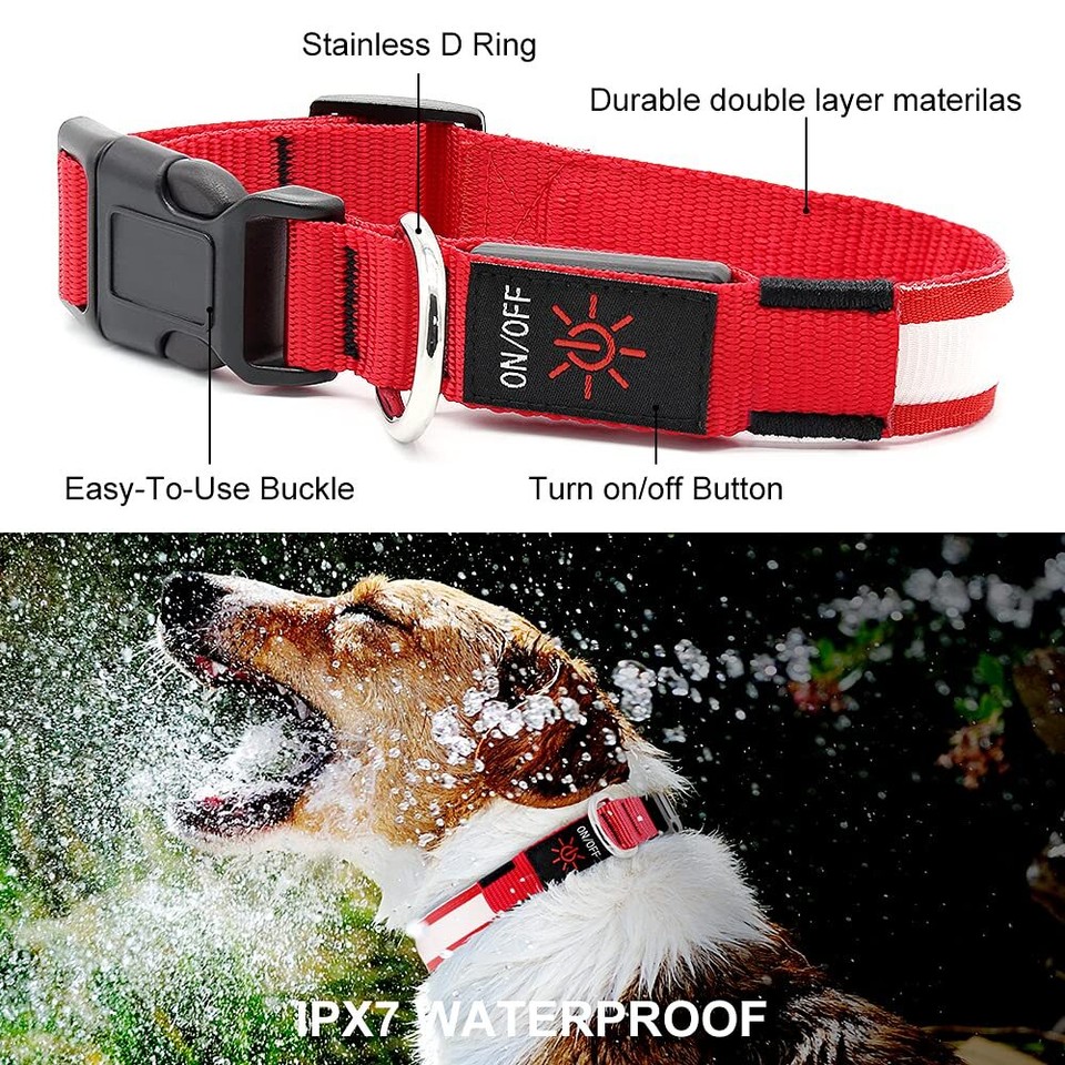 Ultra Light USB Rechargeable LED Dog Collar Adjustable Light up Dog