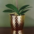 Picture 3 of 4