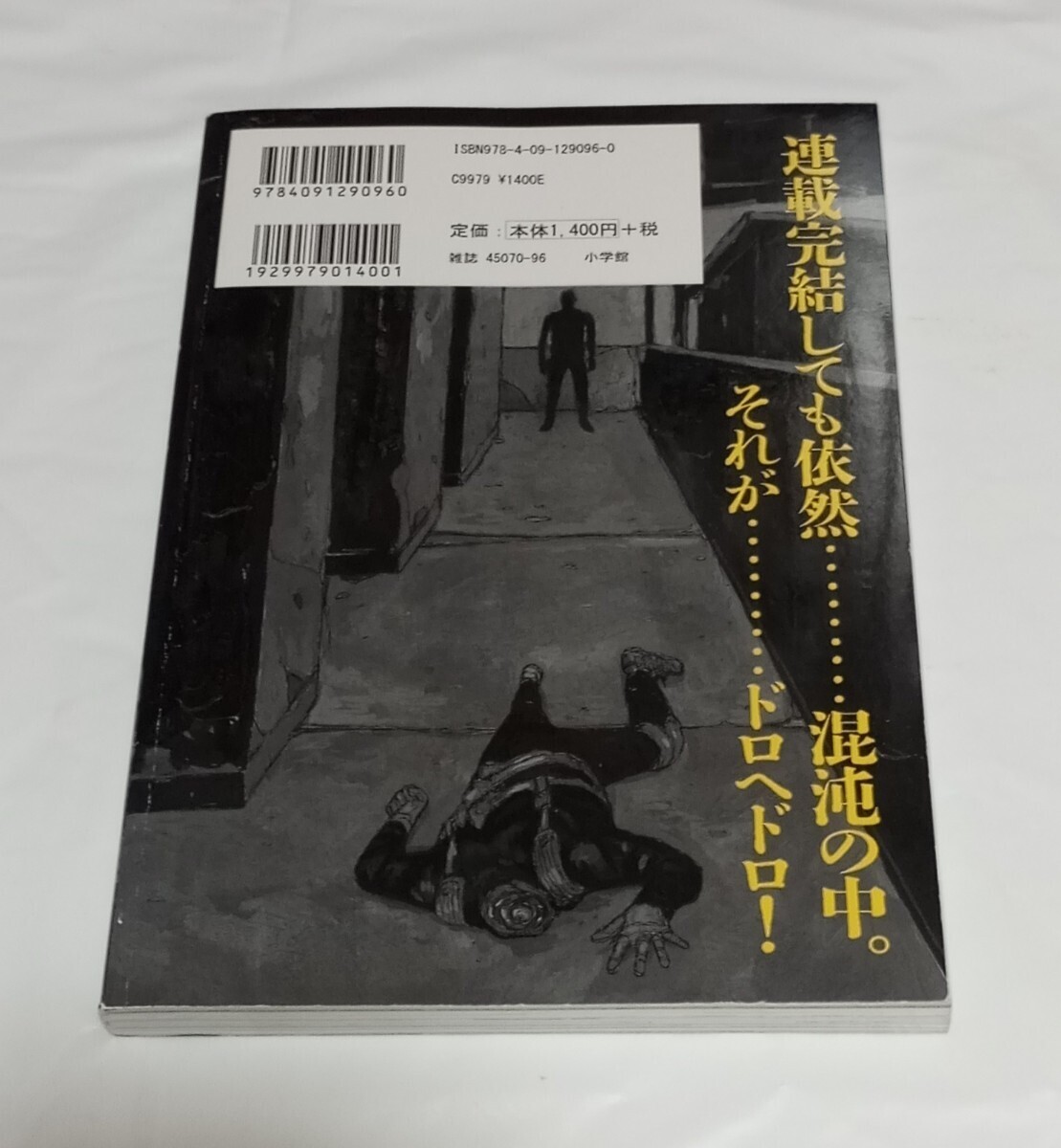 Manga Artist Book Mangaka-Bon Special Dorohedoro Bon Q Hayashida
