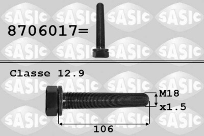 SASIC 8706017 Pulley Bolt for Audi VW