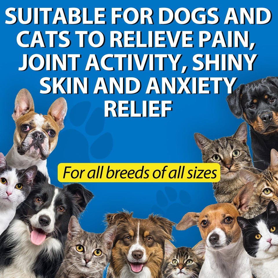 Oil for Dogs Pet Oil for Pain,Skin,Arthritis Pain,Pain