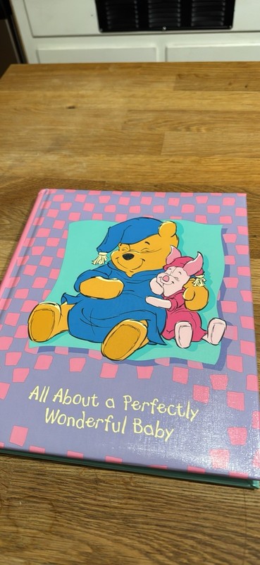 Vintage Winnie The Pooh Baby Book (RARE)