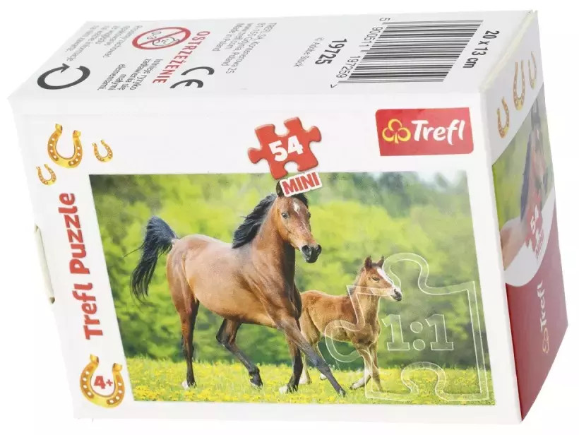 5900511197259 -  54 .  , ,  .