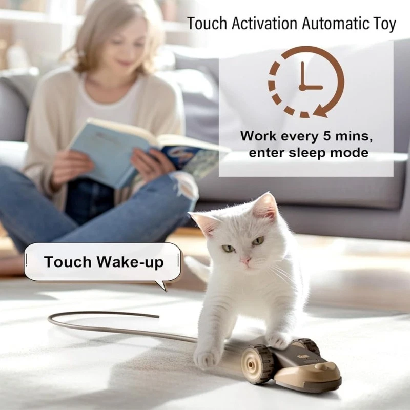 Remote Control Mouses Teaser for Indoor Keeping Active