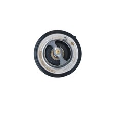 Thermostat Kia MAGENTIS
