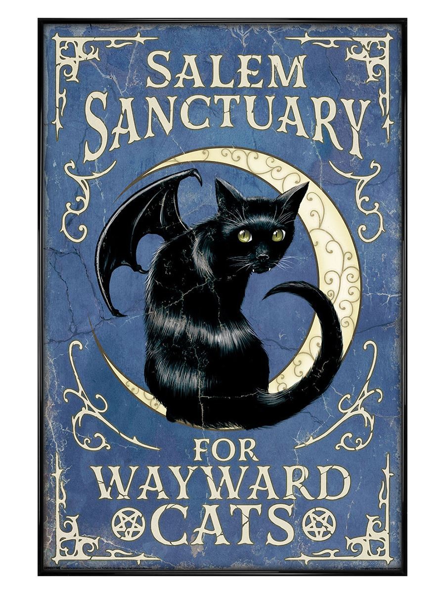 Salem Sanctuary For Wayward Cats Maxi Poster - Black Gloss Framed