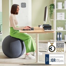 Leitz Ergo Active Sitting Ball 65cm Velvet Grey