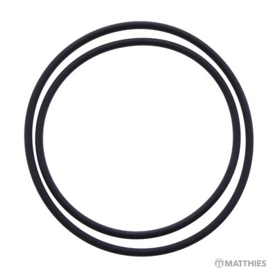 O-Ring Kraftstoffpumpe Satz Originalersatzteil