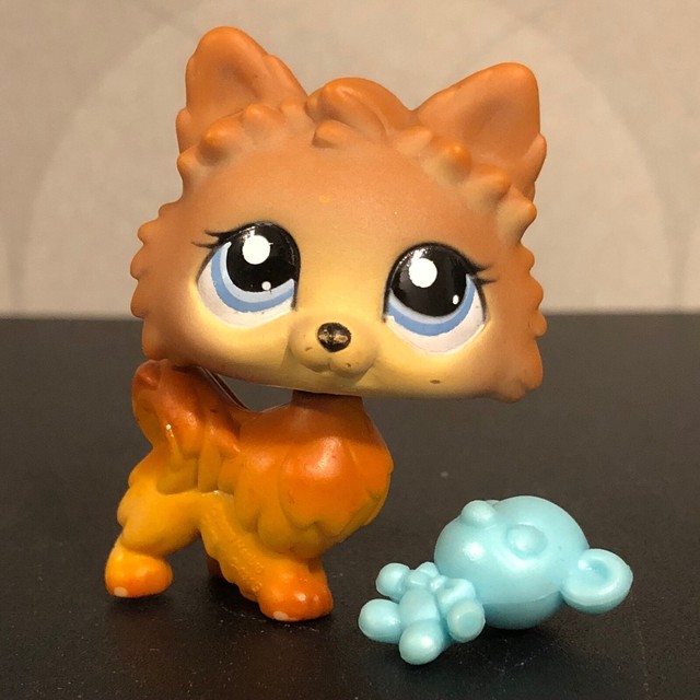 Authentic Littlest Pet Shop 1599 Golden pomeranian dog special edition