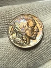 1929 Buffalo Nickel UNC+++ High Grade Red Hue  Original