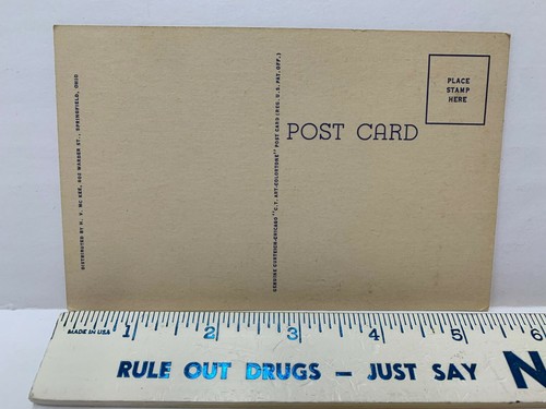 Vintage Postcard OHIO A-33 Flag Cardinal Buckeye Carnation Seal Capitol McKinley - Picture 3 of 3