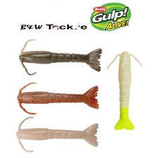Berkley Gulp! Alive! Saltwater Shrimp ~ 4" ~ Pint Jar ~ FREE Shipping