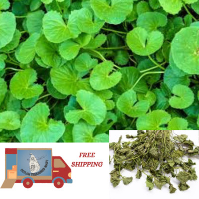 Centella Asiatica dried organic leaves Gotukola brain booster 100% pure leaf.